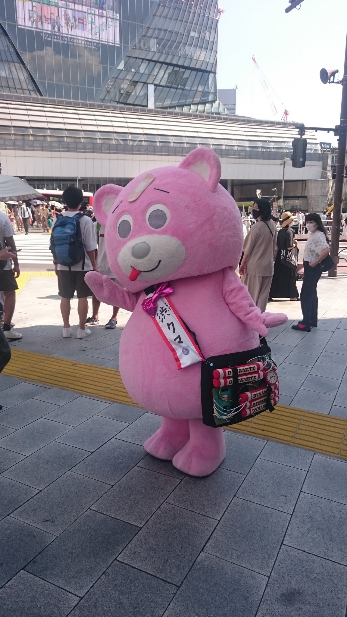 渋クマ ᴥ 公式 Shibukuma21 Twitter