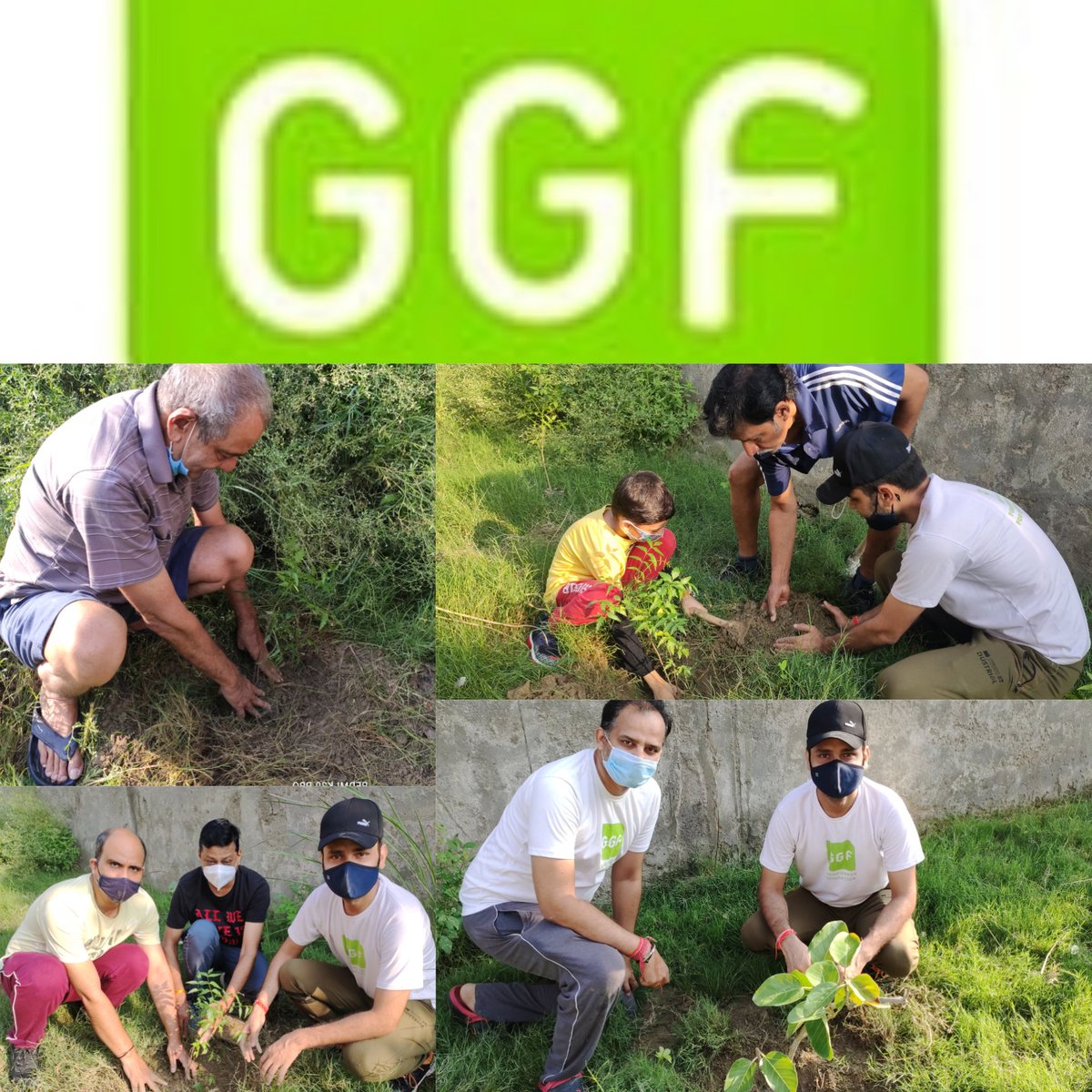 GrenoGreenFoundation tweet media