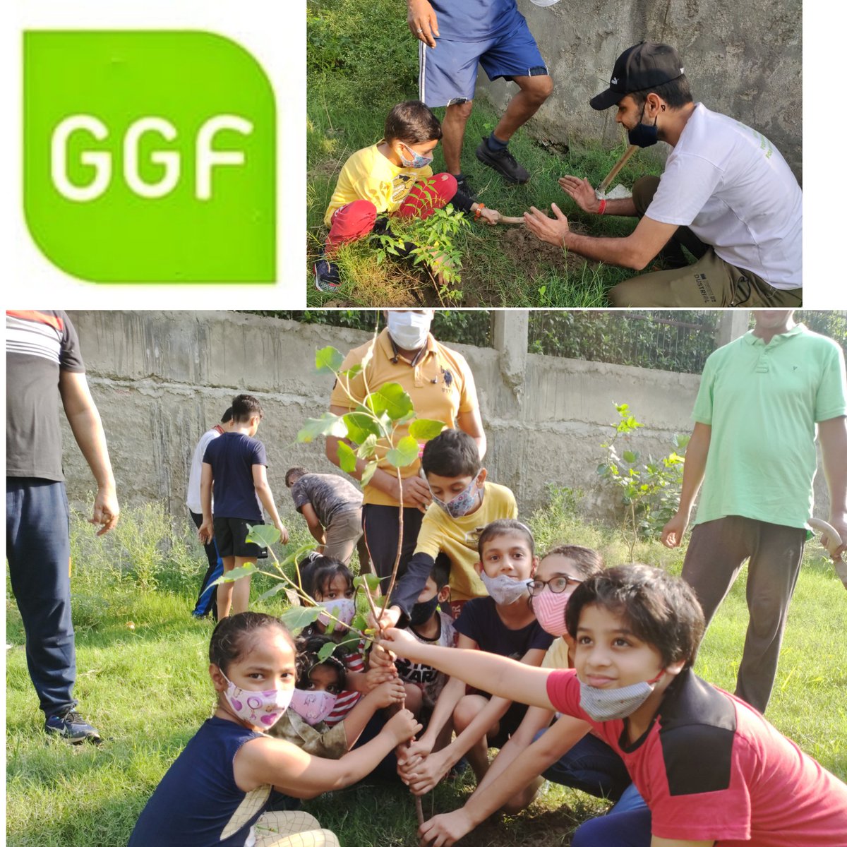 GrenoGreenFoundation tweet media