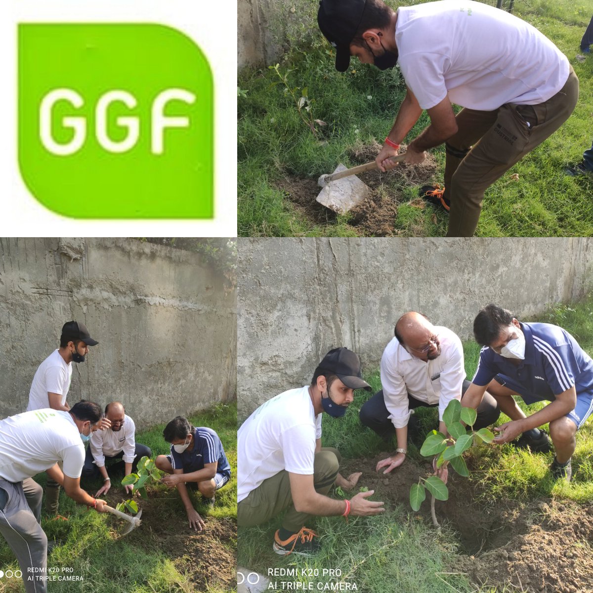 GrenoGreenFoundation tweet media