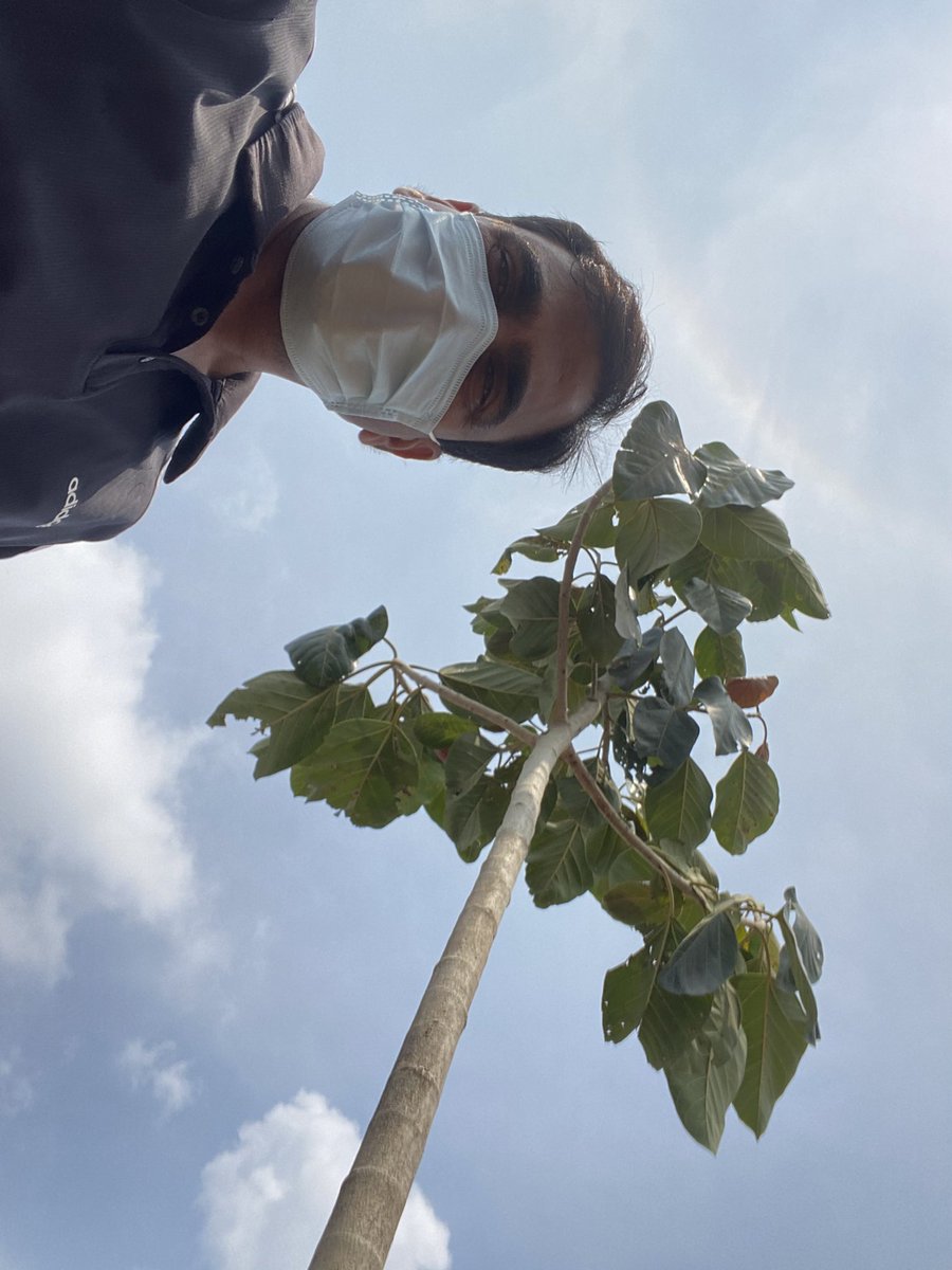 ishyampoonia's tweet photo. Oxygen Bagh at Kharhar village Bahadurgarh with support from @AravaliPower @ntpclimited @treemandevender 
#EcoRest
#DecadeofEcosystemRestoration 
#OxygenBagh https://t.co/c3lG4WWPF8