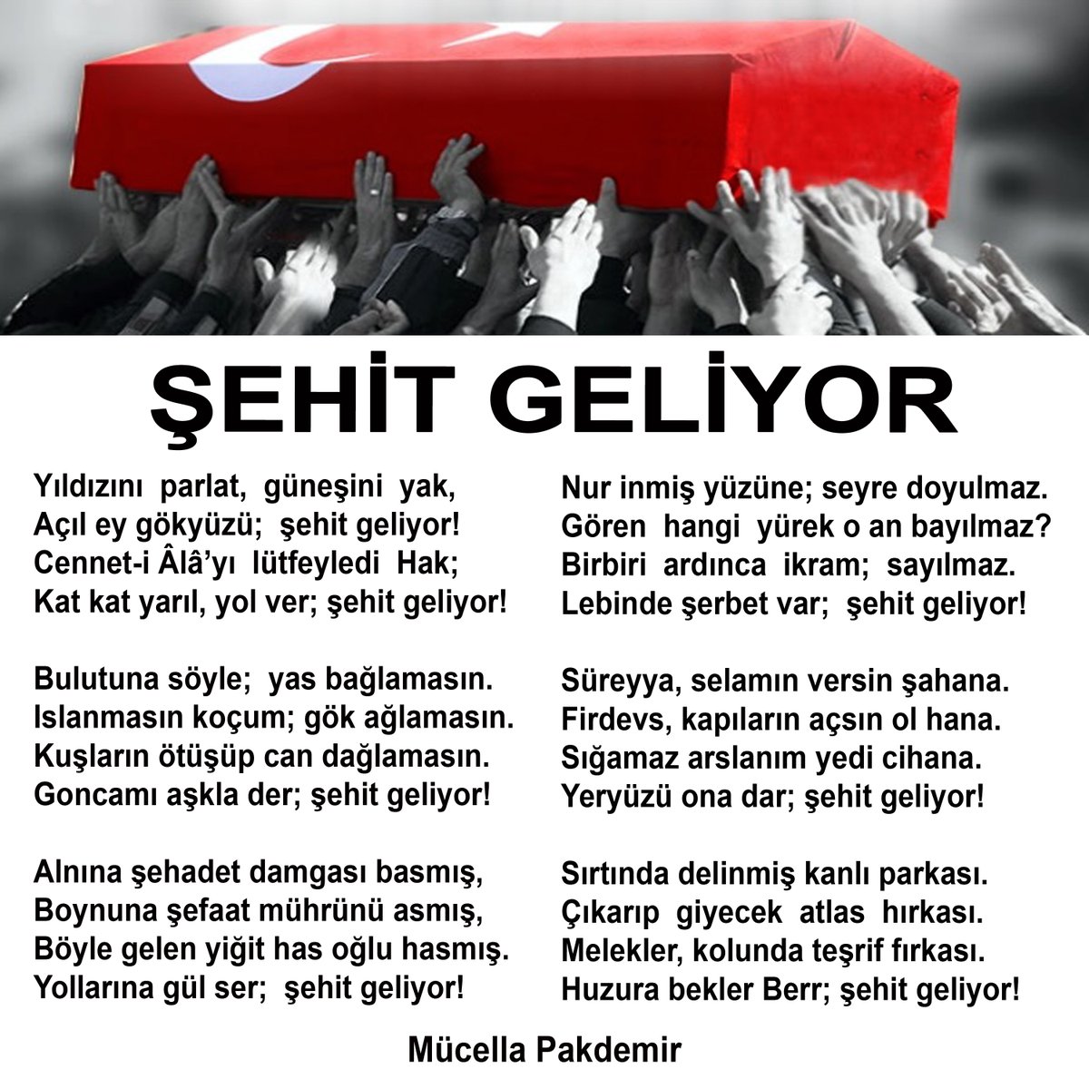 Mücella Pakdemir tweet media