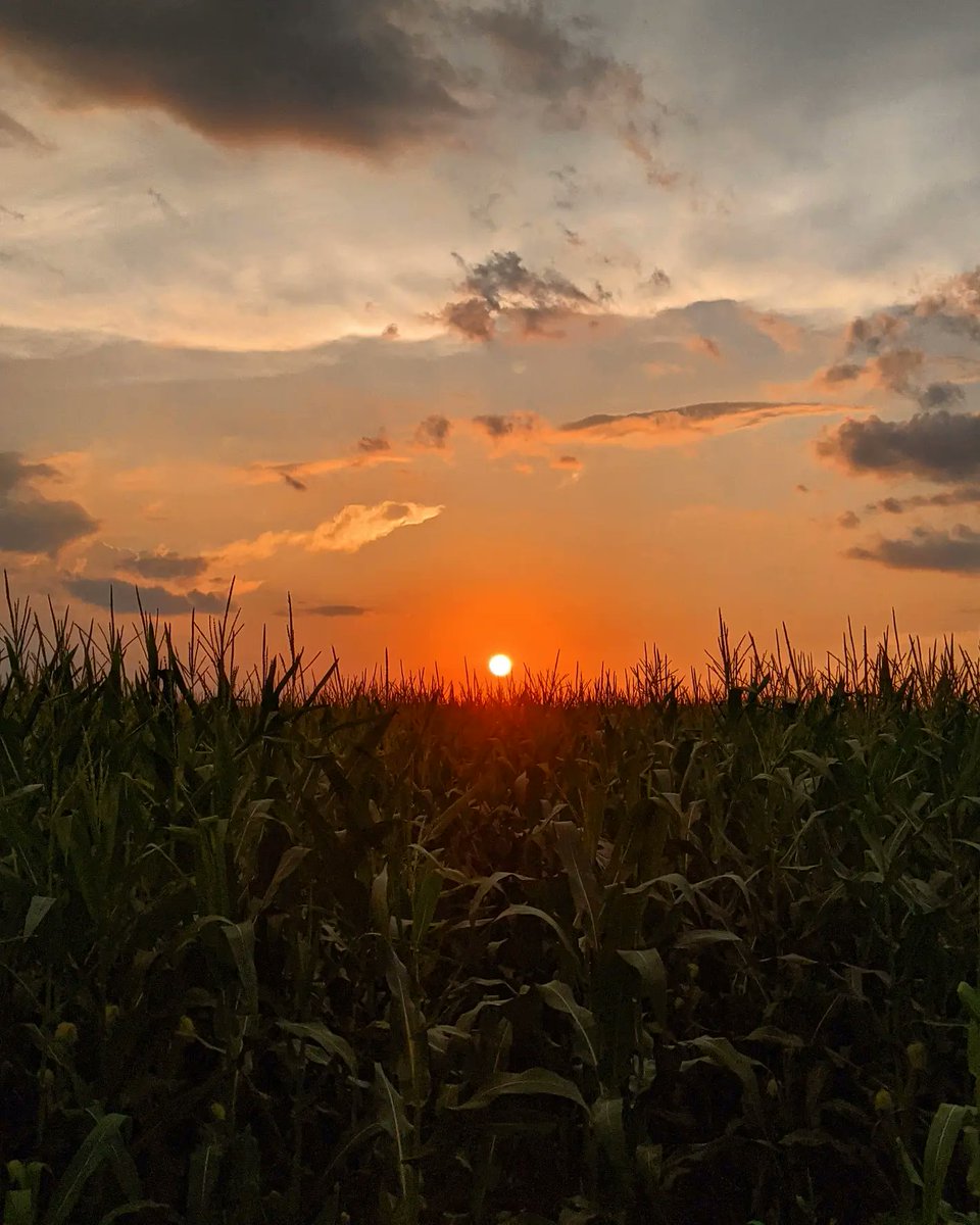bctuholski's tweet photo. LP was showing off last night. #LaPorte #MidwestIsBest #HomeSweetHome https://t.co/80rVnjUDJ0