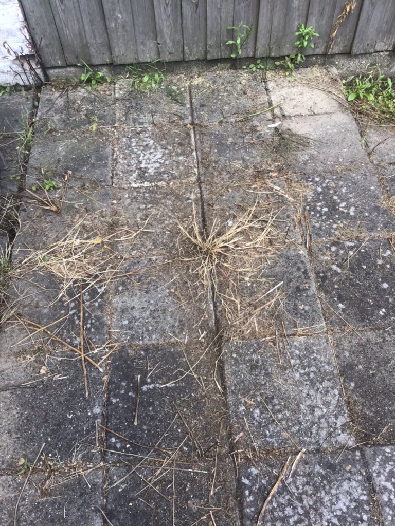 suusonline's tweet photo. Tussentijdse evaluatie:
Niet geheel ontevreden over de prestaties van Harry.
Hij kan niet álle ellende aan, maar dat vergeef ik hem graag.
Nu even veilig onder het afdakje want regen. Hij is een beetje gevoelig voor spanningen, de schat.
#WeedCleaner #Onkruidborstel https://t.co/IIrmx9hkMa