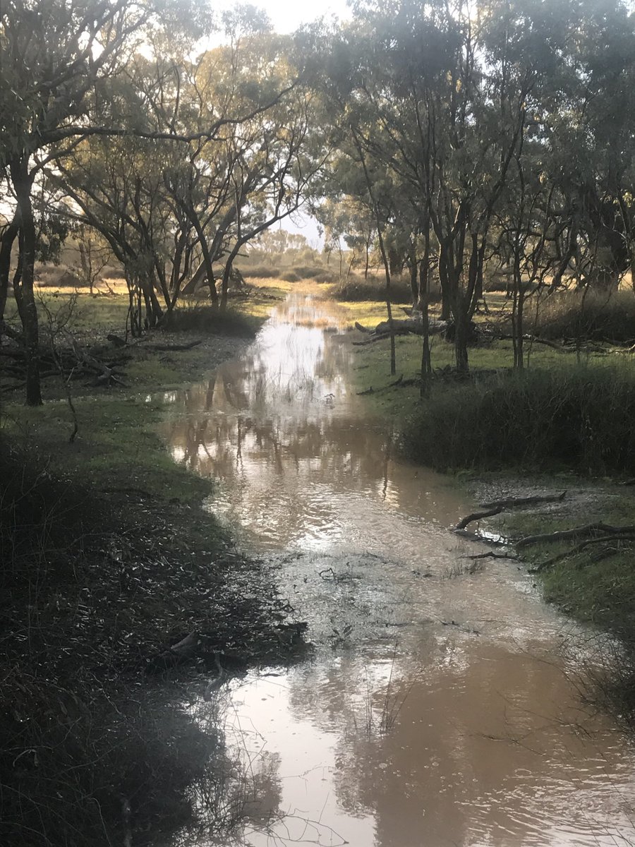 John Bennett tweet media