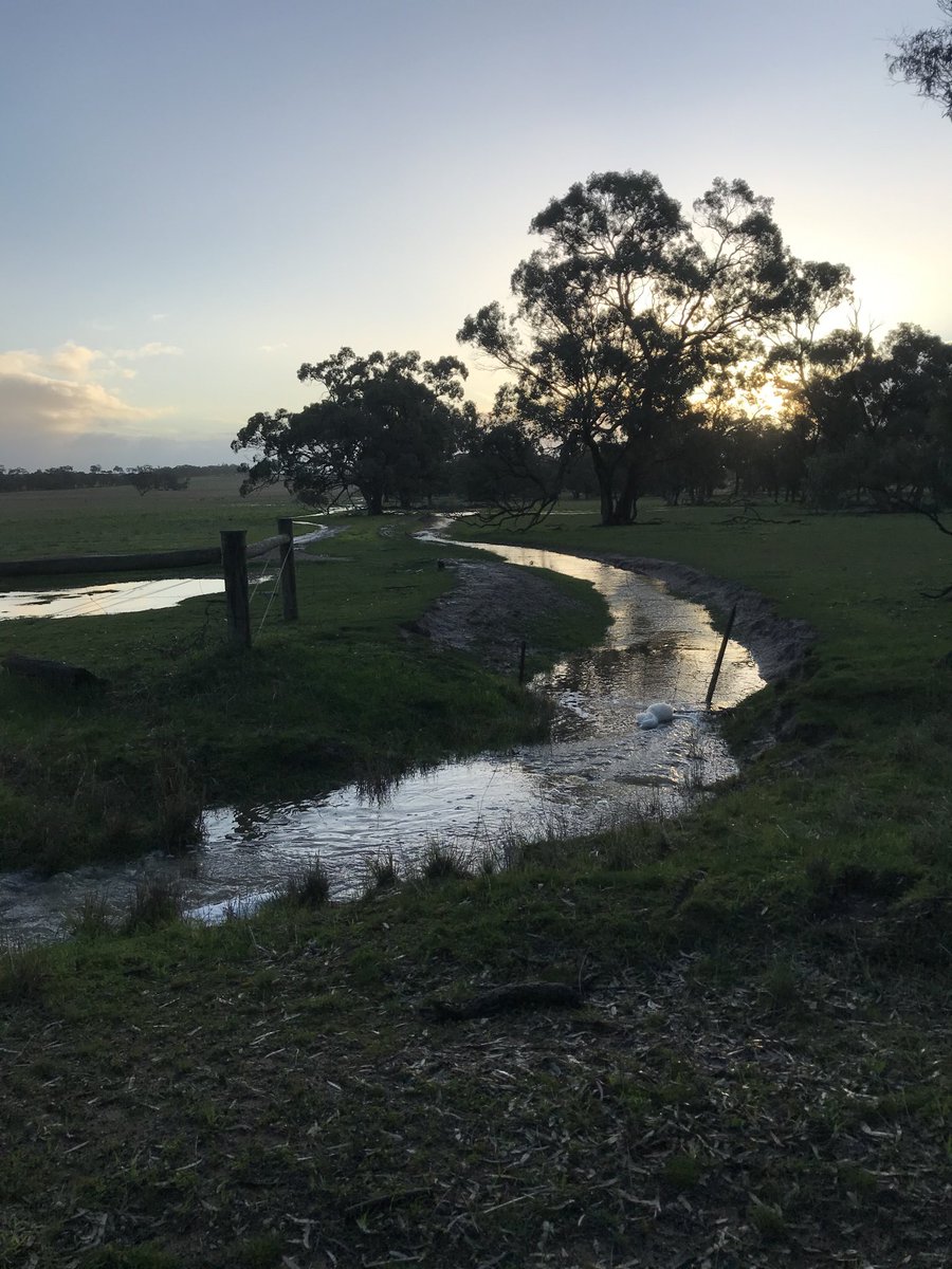 John Bennett tweet media