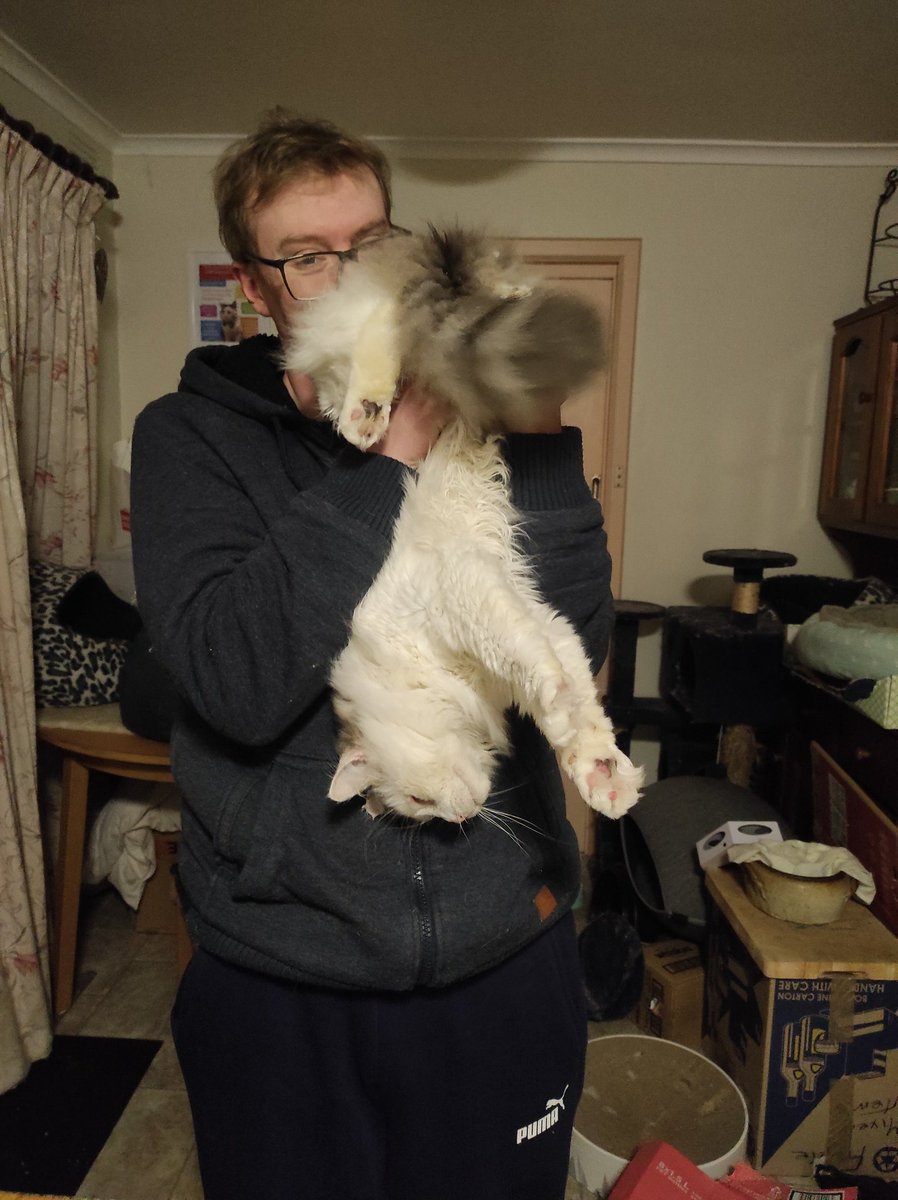 scruffkit's tweet photo. Will dis Scruff evers knowings peace????
#FIVCatsClub #AussieCatsOfTwitter https://t.co/migU8ARIAD