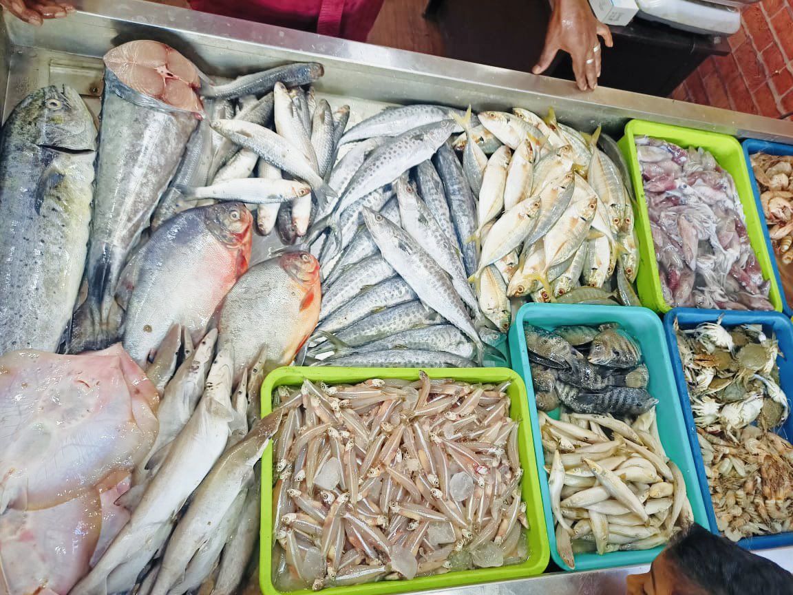 StoreIfish's tweet photo. Sunday special @StoreIfish https://t.co/M1wm2N6AhJ