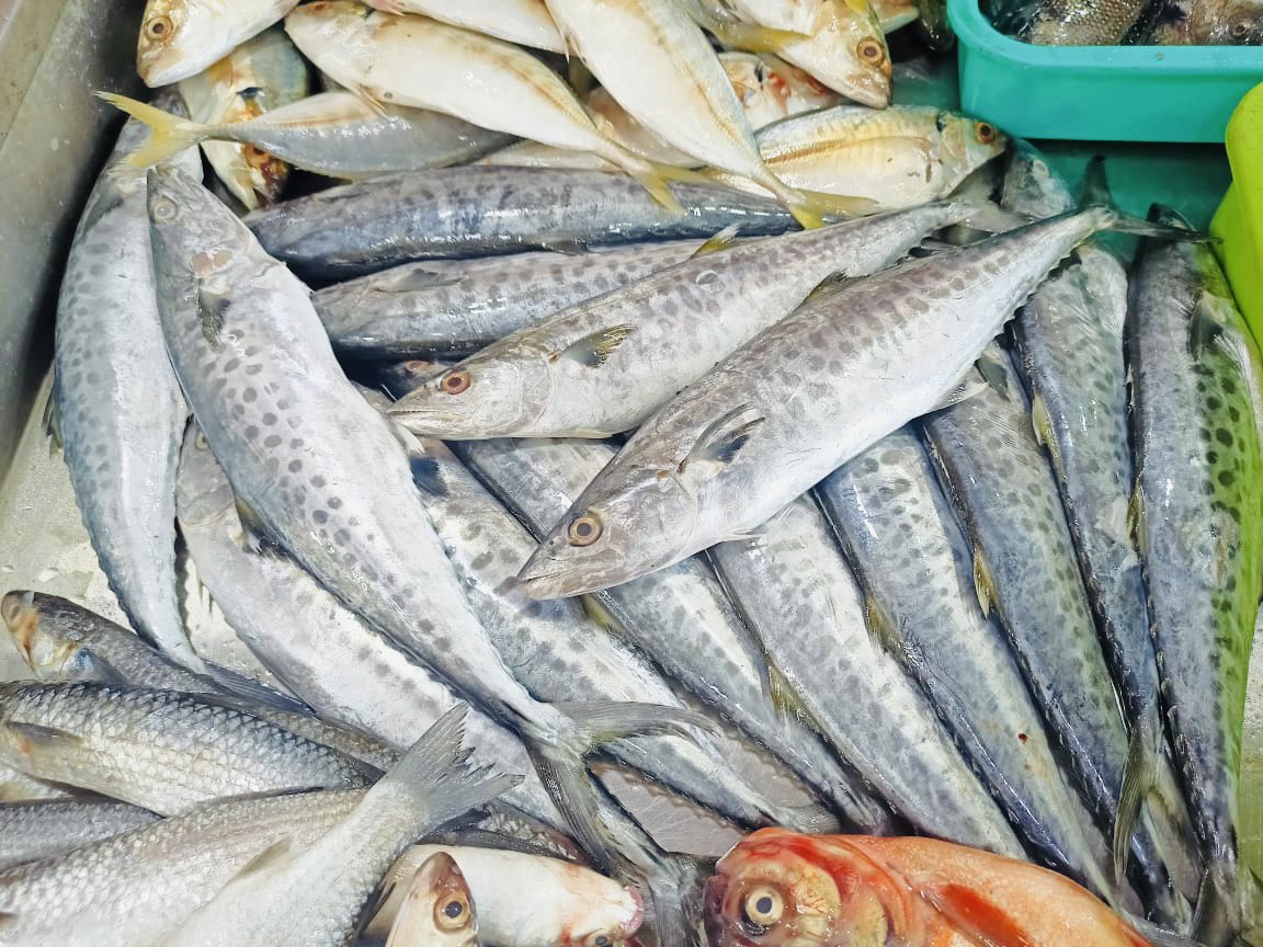 StoreIfish's tweet photo. Sunday special @StoreIfish https://t.co/M1wm2N6AhJ