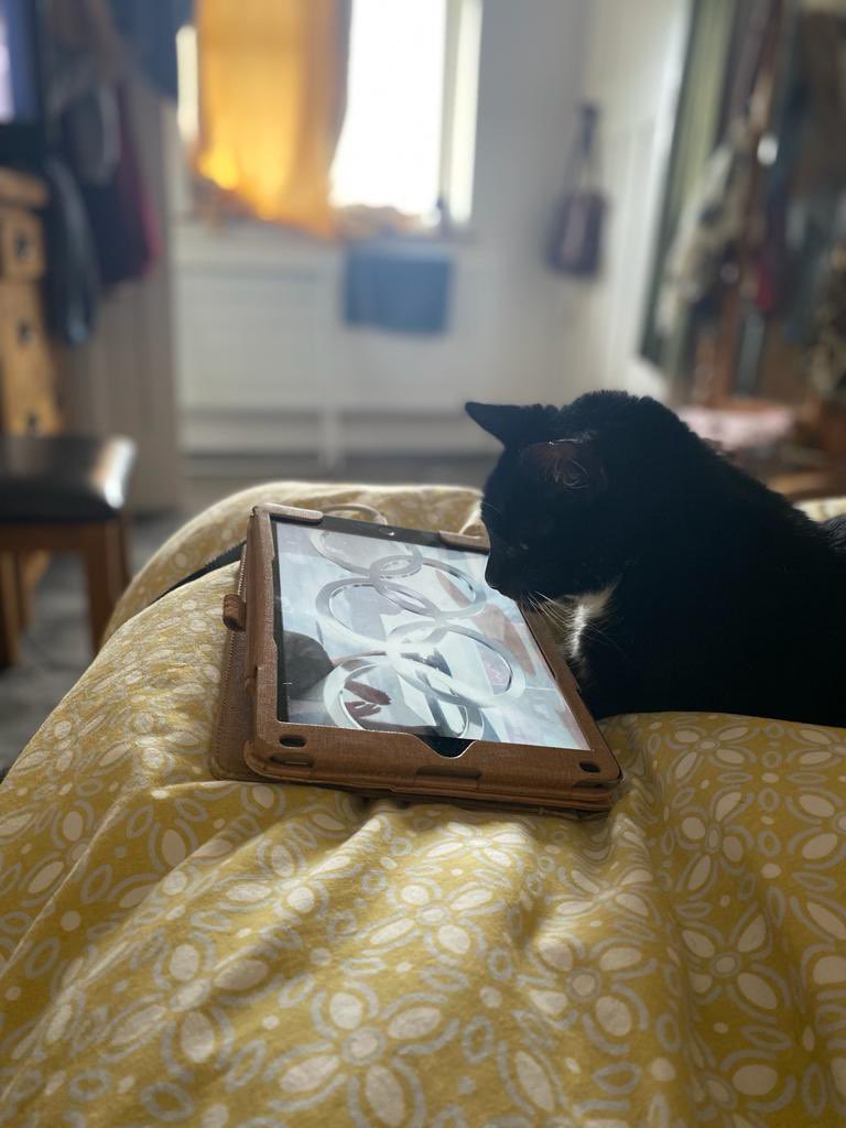 Our cat Monsieur Le Moo totally engrossed in the skateboarding at the <a href="/Olympics/">The Olympic Games</a> <a href="/clarebalding/">Clare Balding 💙</a> (at 19 years old mooey this might be a bit ambitious) #Tokyo2020 #olympics <a href="/sadiwskyj/">Lynsey Sadiwskyj</a>