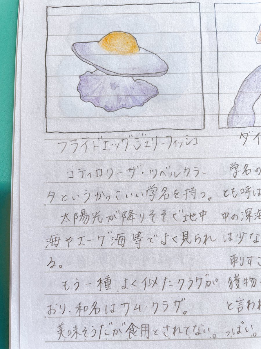 フライドエッグジェリーフィッシュ フライドエッグジェリーフィッシュ