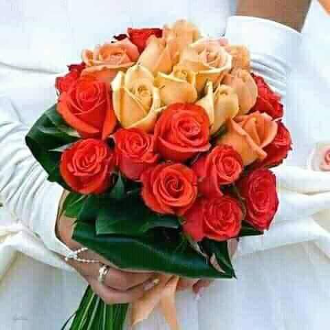 Maashal1144's tweet photo. I Love #NATURE Its Healing .๐
#FLOWEERS-Represents beauty and peace ๐
and Adore #Kids -Innocence with beauty with a message that Allah cares as long we would care for Humanity
๐ฅ๐ฅ๐ฅ๐ฅ๐ฅ https://t.co/7TXOUJjToI