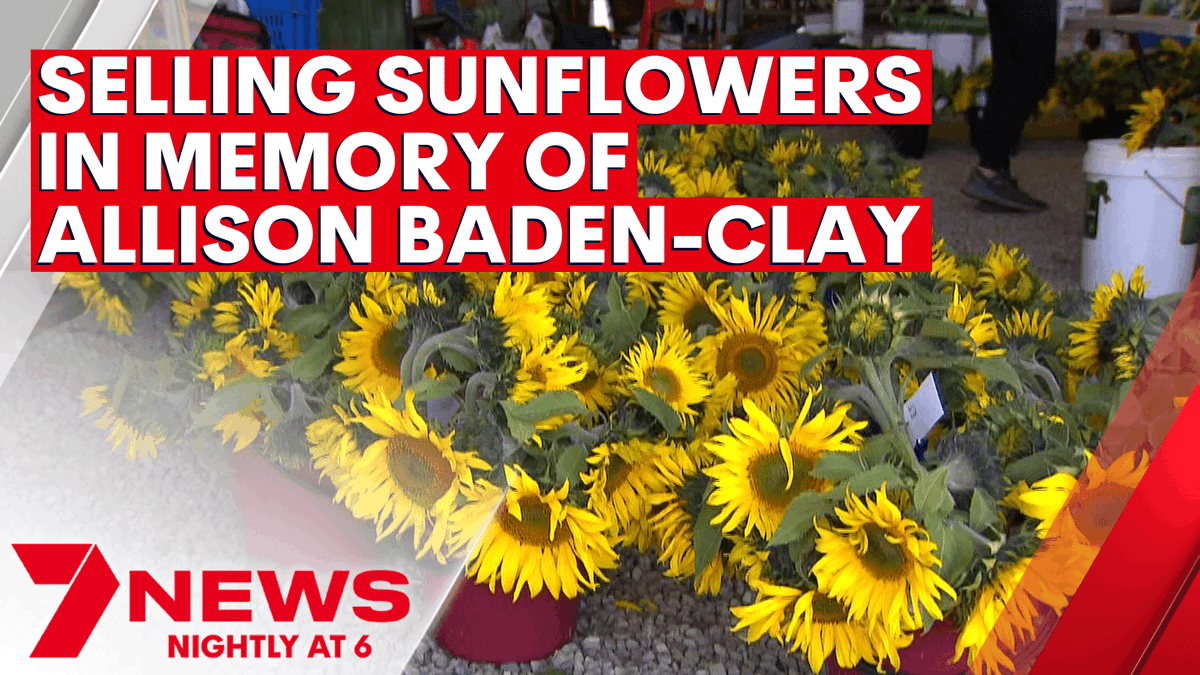 7NEWS Queensland tweet media