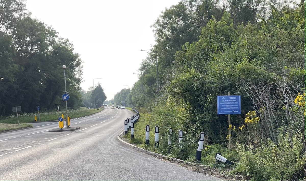 Littergram tweet media