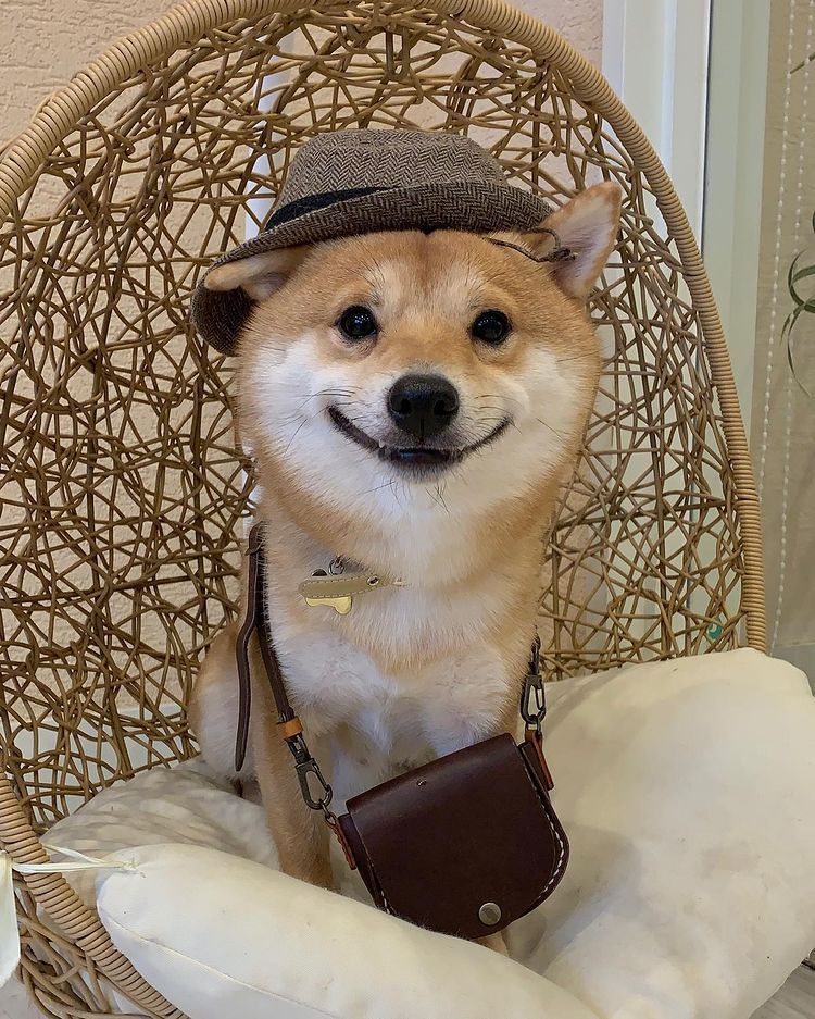 Image of this social media content