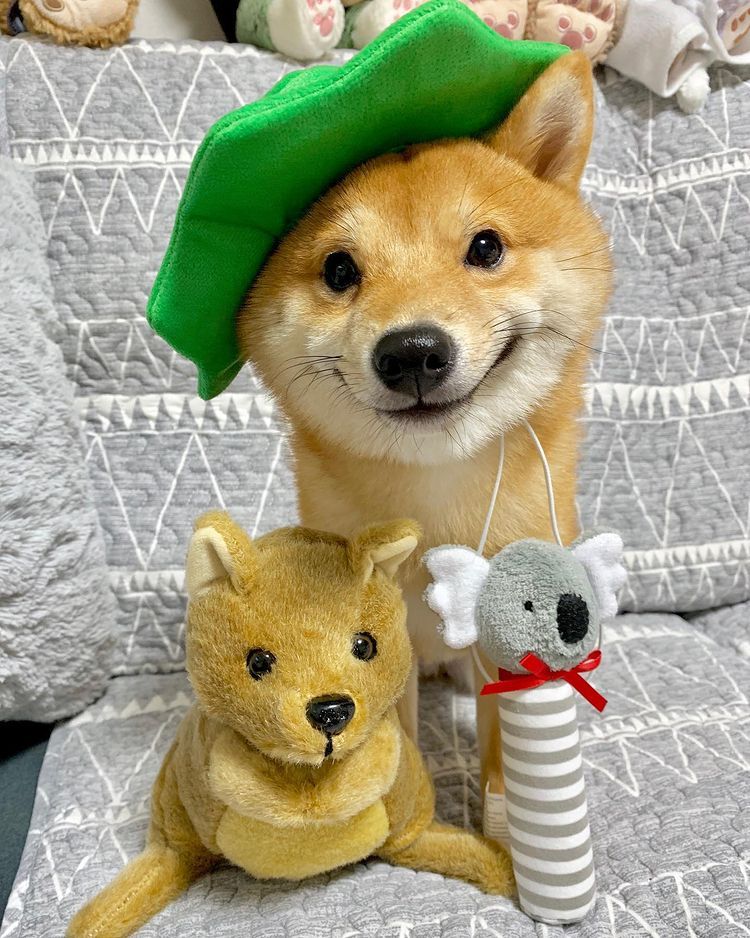 Image of this social media content