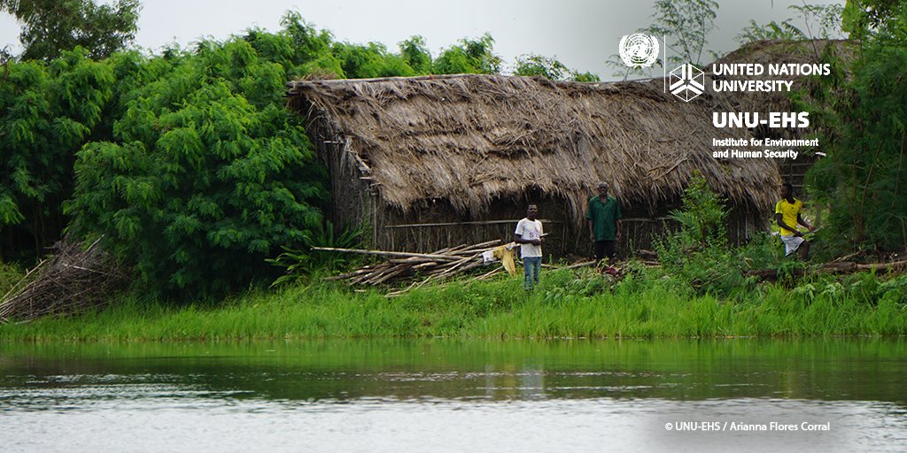 UNUEHS's tweet photo. Tomorrow is #WorldMangrovesDay! 🌱💪
#DYK that @UNUEHS #CLIMAFRI project includes mapping #mangroves, along with other ecosystems, that are relevant to #flood risk reduction in the Lower Mono River catchment in Togo 🇹🇬 & Benin 🇧🇯?
https://t.co/yKEmVIijyB https://t.co/lrCDKy1Rb9
