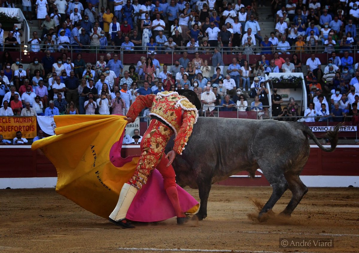 TierrasTaurinas's tweet photo. Picar y lancear con la paya puesta. Lo hizo el gran picador Badila en 1895 en Madrid, y Ferrera en 2021 en Mont de Marsan. https://t.co/RwPwaUt77M