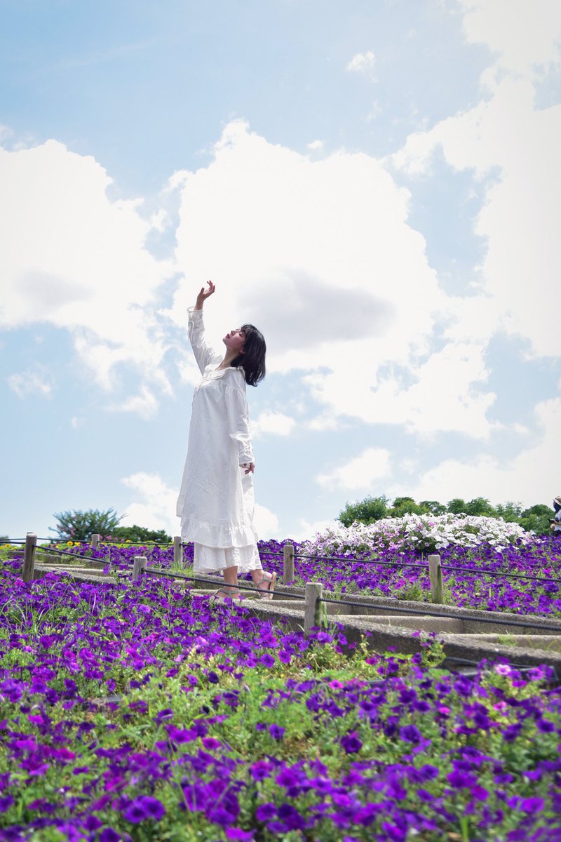 Yoshi18361's tweet photo. 撮影会お疲れさまでした
(・∀・)
#中井静華
@ShizukaUp
#BlueBreeze https://t.co/VnHBNPbkil