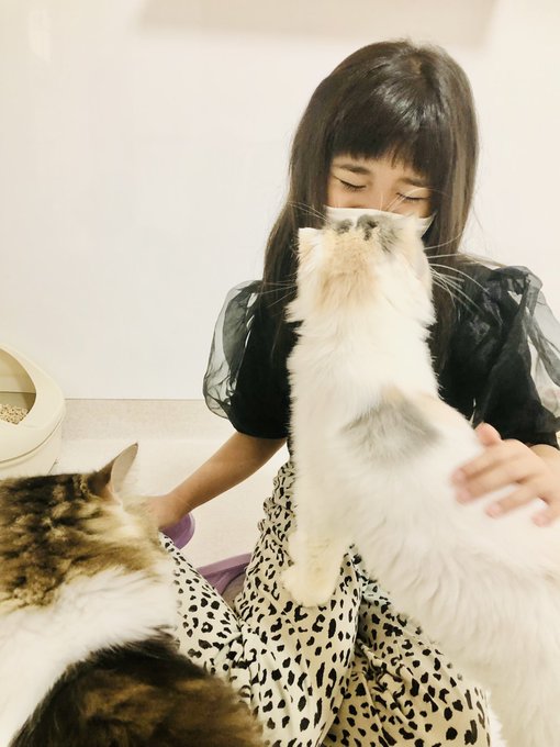 Twitterのコスプレ画像36