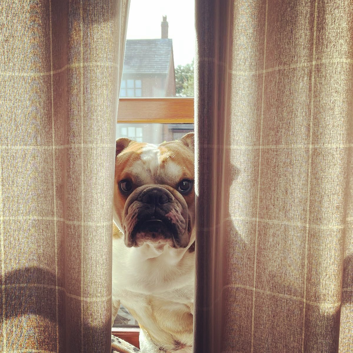 It’s never too early for a game of hide and seek 👀