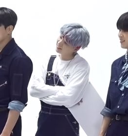 🐨🐱 tweet media