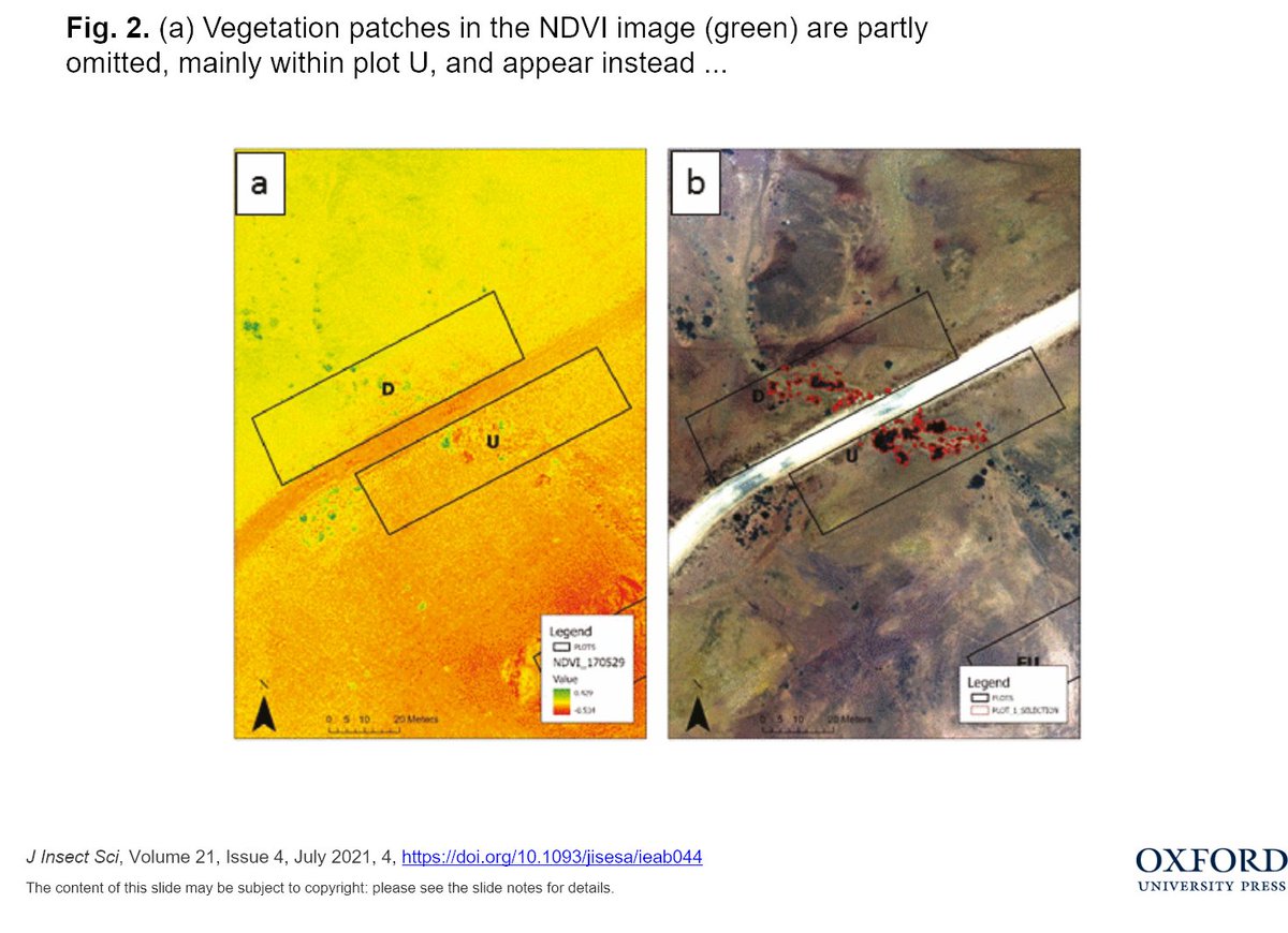 mdde (@mddebgu) on Twitter photo "Impact of #Roads on the Redistribution of #Plants and Associated #Arthropods in a Hyper-#Arid #Ecosystem"
A new paper by Shahar Cohen, Elli Groner, <a href="/AvivaPeeters/">Aviva Peeters</a> and <a href="/Michal_Segoli/">Michal Segoli</a>
<a href="/DSASC_IL/">DSASC</a>
<a href="/bidrBGU/">bidrBGU</a>
#CommunityEcology #disturbances #RamonCrater
academic.oup.com/jinsectscienceโฆ "Impact of #Roads on the Redistribution of #Plants and Associated #Arthropods in a Hyper-#Arid #Ecosystem"
A new paper by Shahar Cohen, Elli Groner, <a href="/AvivaPeeters/">Aviva Peeters</a> and <a href="/Michal_Segoli/">Michal Segoli</a>
<a href="/DSASC_IL/">DSASC</a>
<a href="/bidrBGU/">bidrBGU</a>
#CommunityEcology #disturbances #RamonCrater
academic.oup.com/jinsectscienceโฆ