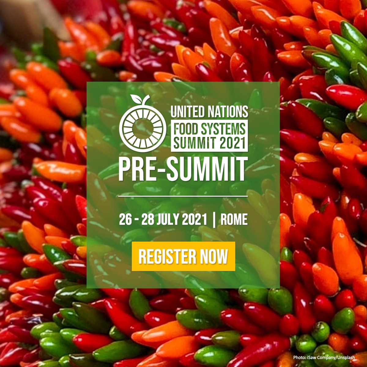 IGG_NL's tweet photo. Morgen begint de @FoodSystems Pre-Summit! 
Verschillende stakeholders komen samen om gezonde, eerlijke en duurzame #voedselsystemen voor iedereen te creëren. #UNFSS2021 #FoodSystems
 
Kijk en praat mee: https://t.co/TdUPKot6OD https://t.co/8B4ColzKDy