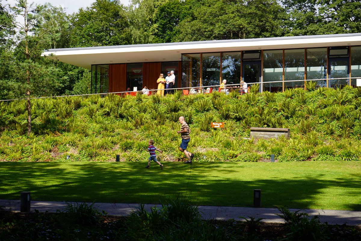 strawberryfield's tweet photo. Would you like to visit Strawberry Field with the children through the summer holidays? Take a look at the programme of activities we have on this summer! Launching on 27th July, #GetBackToPlay every Tuesday! https://t.co/jrNVuNF1ep