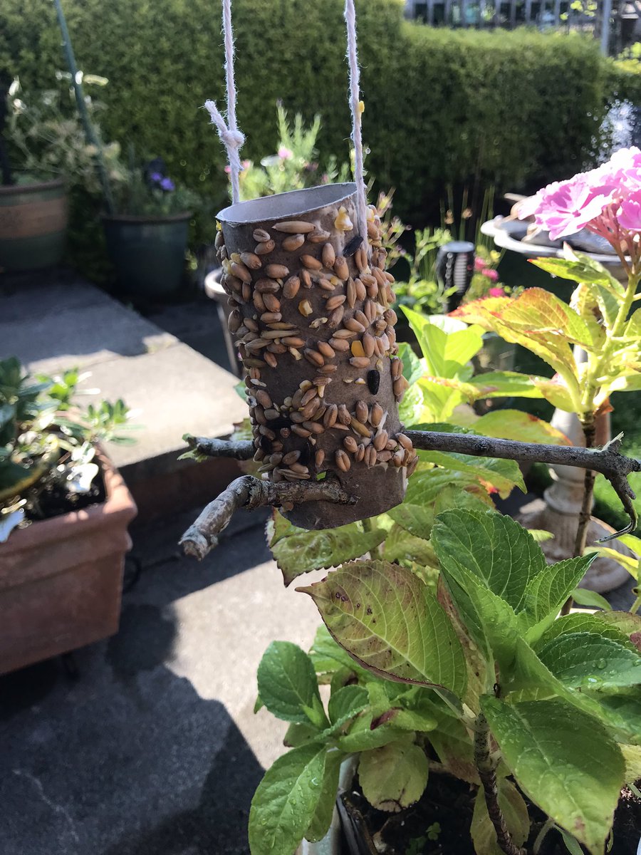 DDYC1's tweet photo. JAM DAY CAMP CRAFT environmentally friendly bird feeder https://t.co/WDoOXNmajH