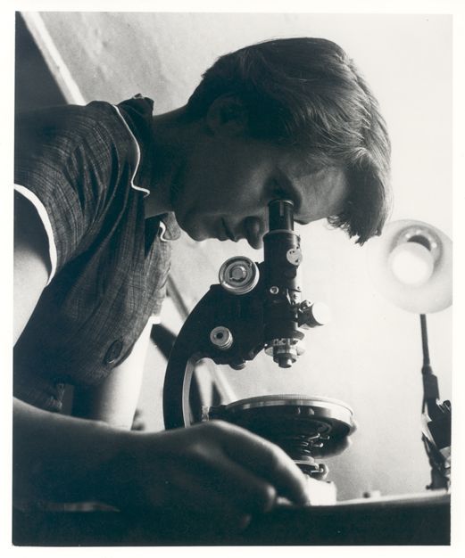 Rosalind Franklin, chemist &amp; X-ray crystallographer, was born #OnThisDay in 1920. Her work on X-ray diffraction images of DNA helped lead to the discovery of the structure of DNA, but her efforts were only recognised posthumously. #RosalindFranklin bit.ly/2Hl8bkA