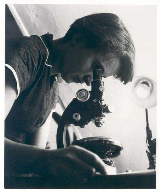 Rosalind Franklin, chemist & X-ray crystallographer, was born #OnThisDay in 1920. Her work on X-ray diffraction images of DNA helped lead to the discovery of the structure of DNA, but her efforts were only recognised posthumously. #RosalindFranklin bit.ly/2Hl8bkA