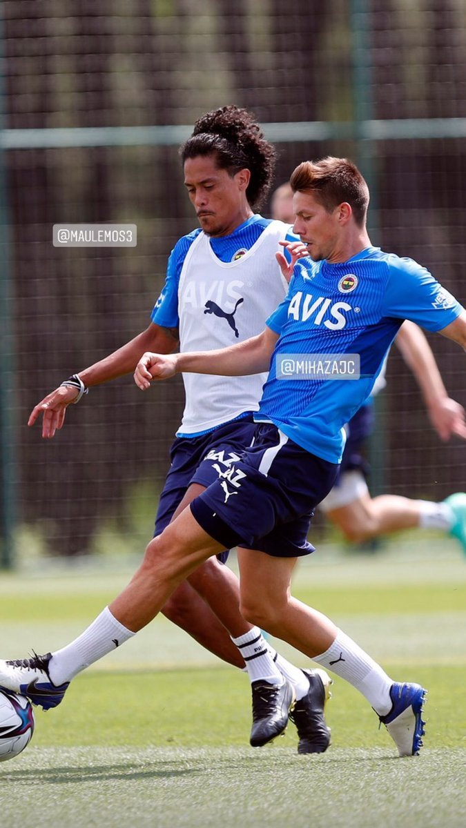Mauricio Lemos tweet media