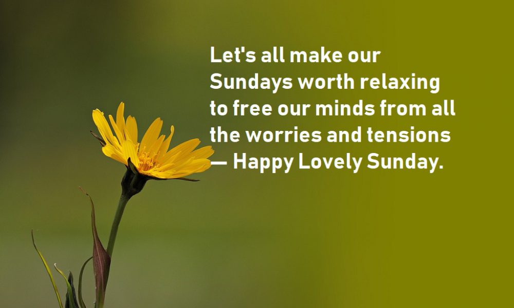 khulumanifm95's tweet photo. #HappySunday
#khulumanifm
Keep it #Kfm95dotzero 📻 https://t.co/D7ypg865cT