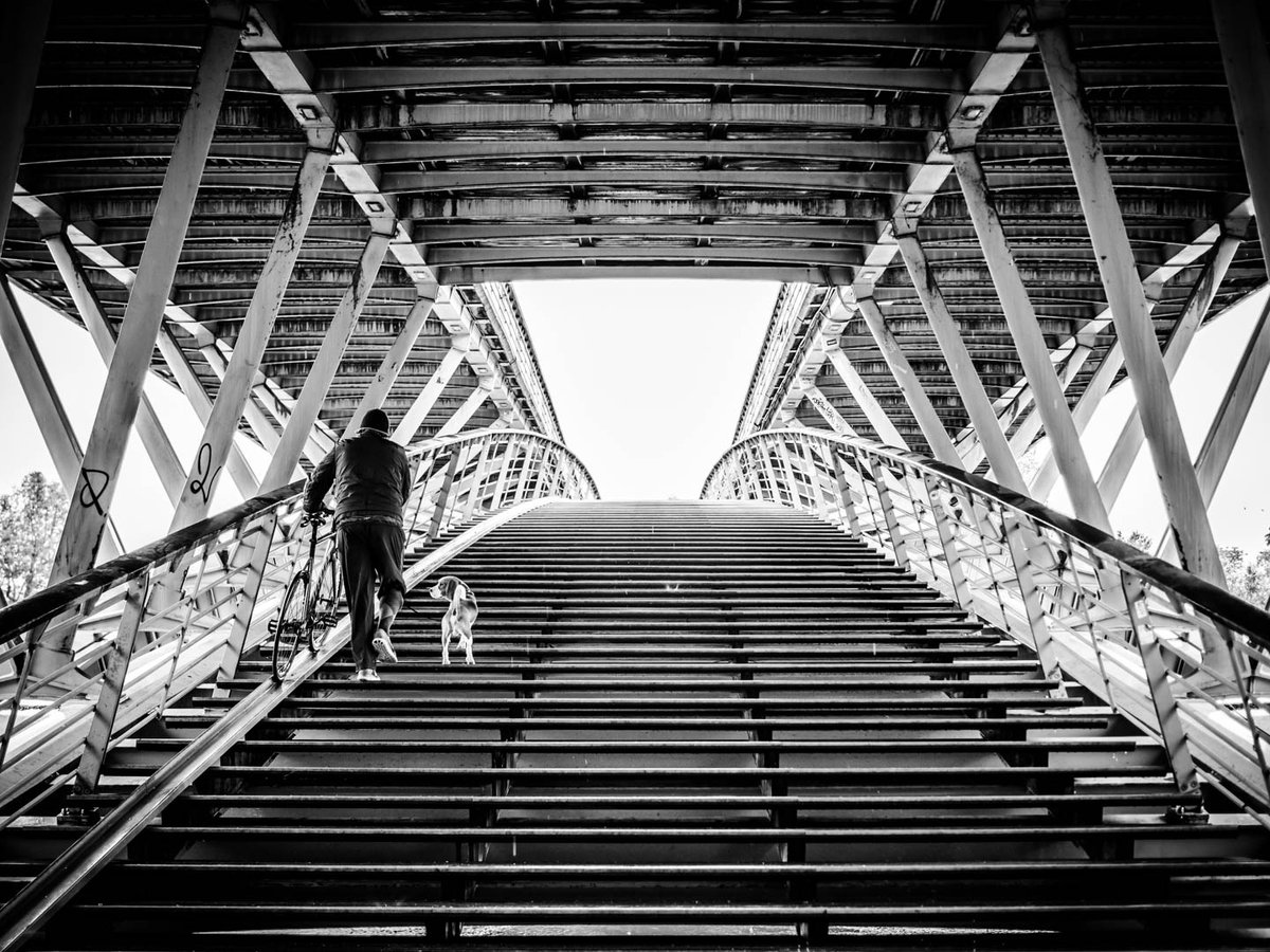AmbientLightUK's tweet photo. "Leopold" - On a rainy day in Paris, a dog encourages his owner up the steps of the Passerelle Leopold-Sedar-Senghor across the River Seine - more Paris travel photography at https://t.co/07oA9OxCZN https://t.co/c9UPpnUboI