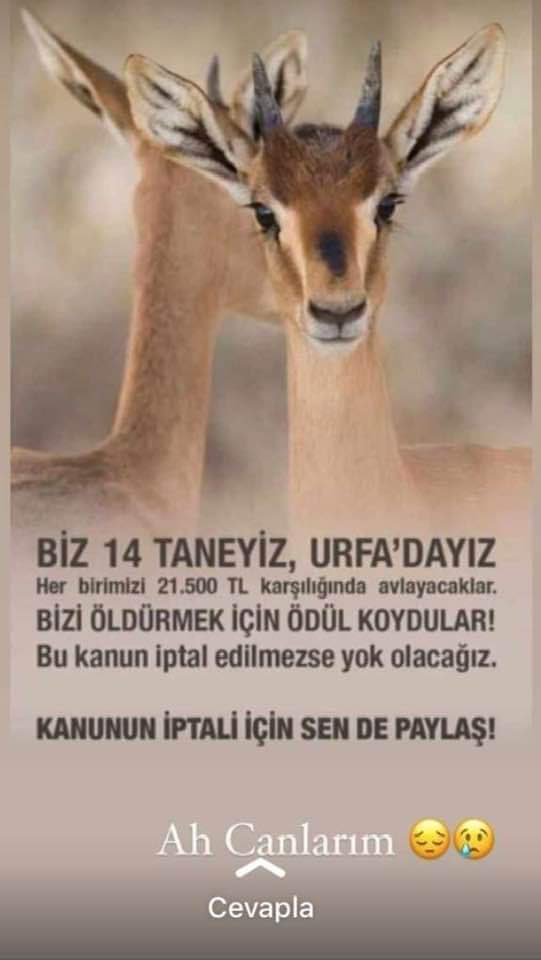 alpergokcek_'s tweet photo. Yeter be yeter! #SONDAKİKA https://t.co/tOIYcE9dOE