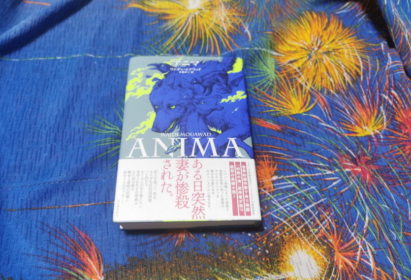 ナイチンゲール Dvd ブルーレイ 最新情報まとめ みんなの評価 レビューが見れる ナウティスモーション
