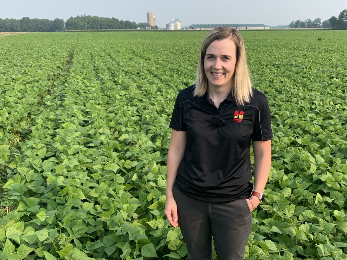 Timing  fungicides. We're walking fields &amp; talking strategy with Meghan Scott <a href="/HDCAgronomy/">Hensall Co-op Agronomy</a> on Edible Bean School. ow.ly/seu050FCCzO