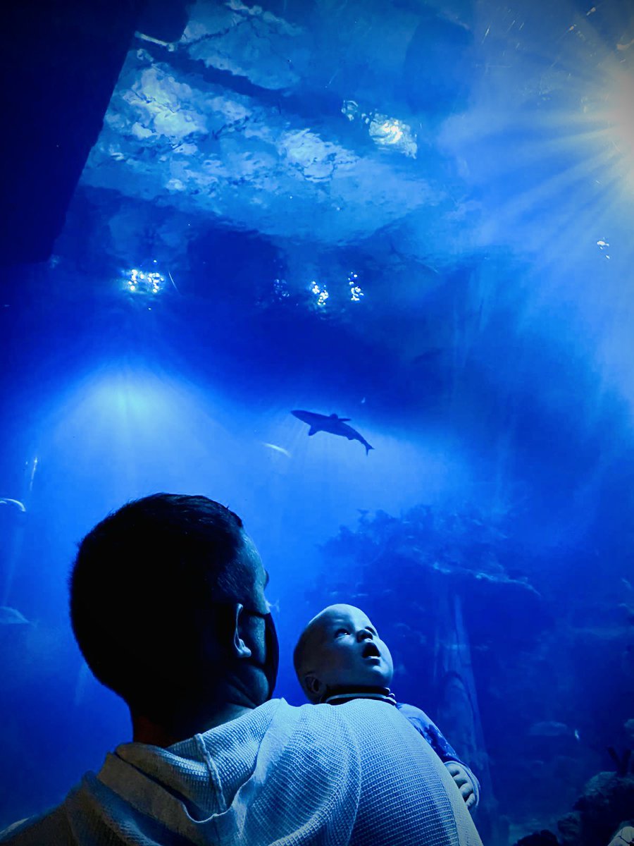 A sensory overload <a href="/thedeephull/">The Deep</a>