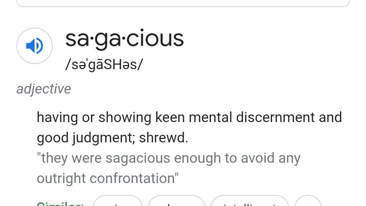 scotty_ship's tweet photo. If Saga ends up having fans,he should name them;

"SAGA-city"

Reasons;
1. Coined from how he's named &amp;,
2. Off the wonderful definition of the word "SAGACITY",itself.

[Images Below] can help with that.😌
#BBNaija
#SCOTTY🌬
  
Casamigos•DSTV•#DrakevsDrake•Tunisia•White Money https://t.co/MjI7KWMWMk