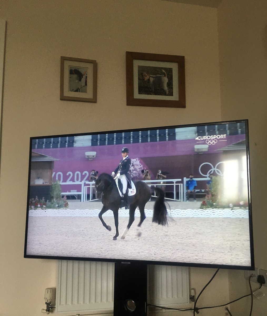 A perfect Sunday morning, watching top-class athletes at the Olympics #Dressage #Tokyo2020 #dreambig