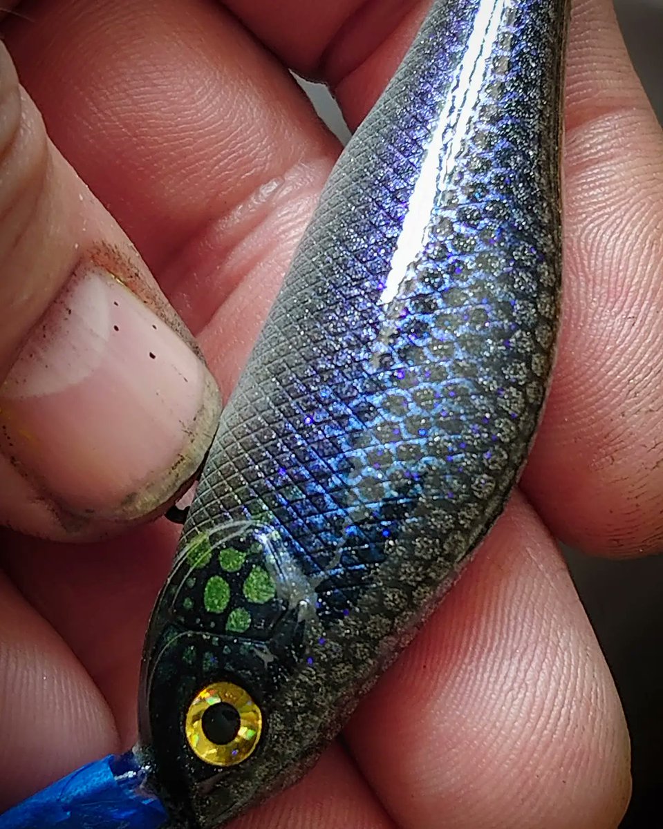 jerkbaitmania's tweet photo. New ColorShift patterns only available from JBM Custom Baits..
#jerkbaitmania #bassnation #perch #bass #pike #lure https://t.co/His3Mw5agy