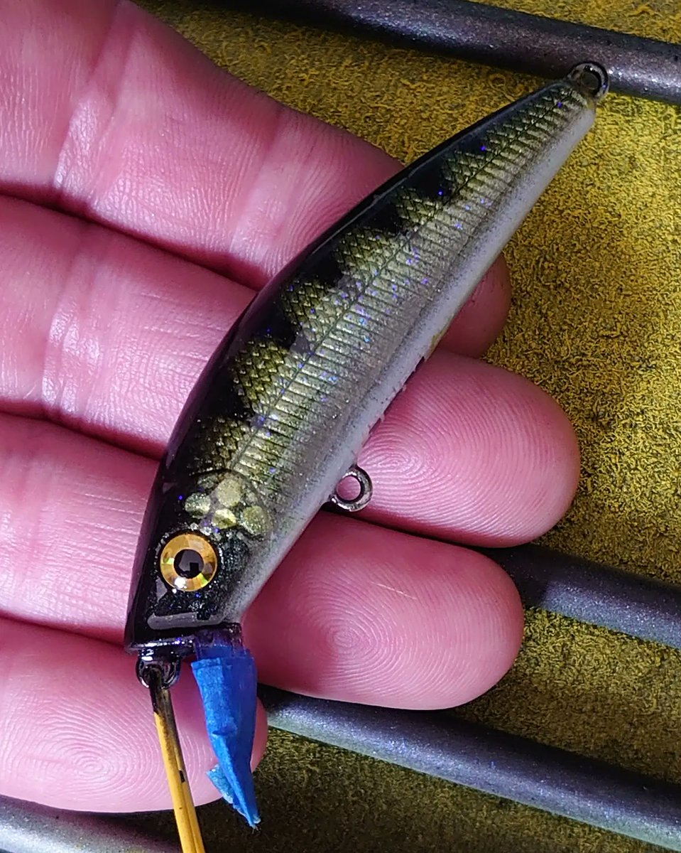 jerkbaitmania's tweet photo. New ColorShift patterns only available from JBM Custom Baits..
#jerkbaitmania #bassnation #perch #bass #pike #lure https://t.co/His3Mw5agy