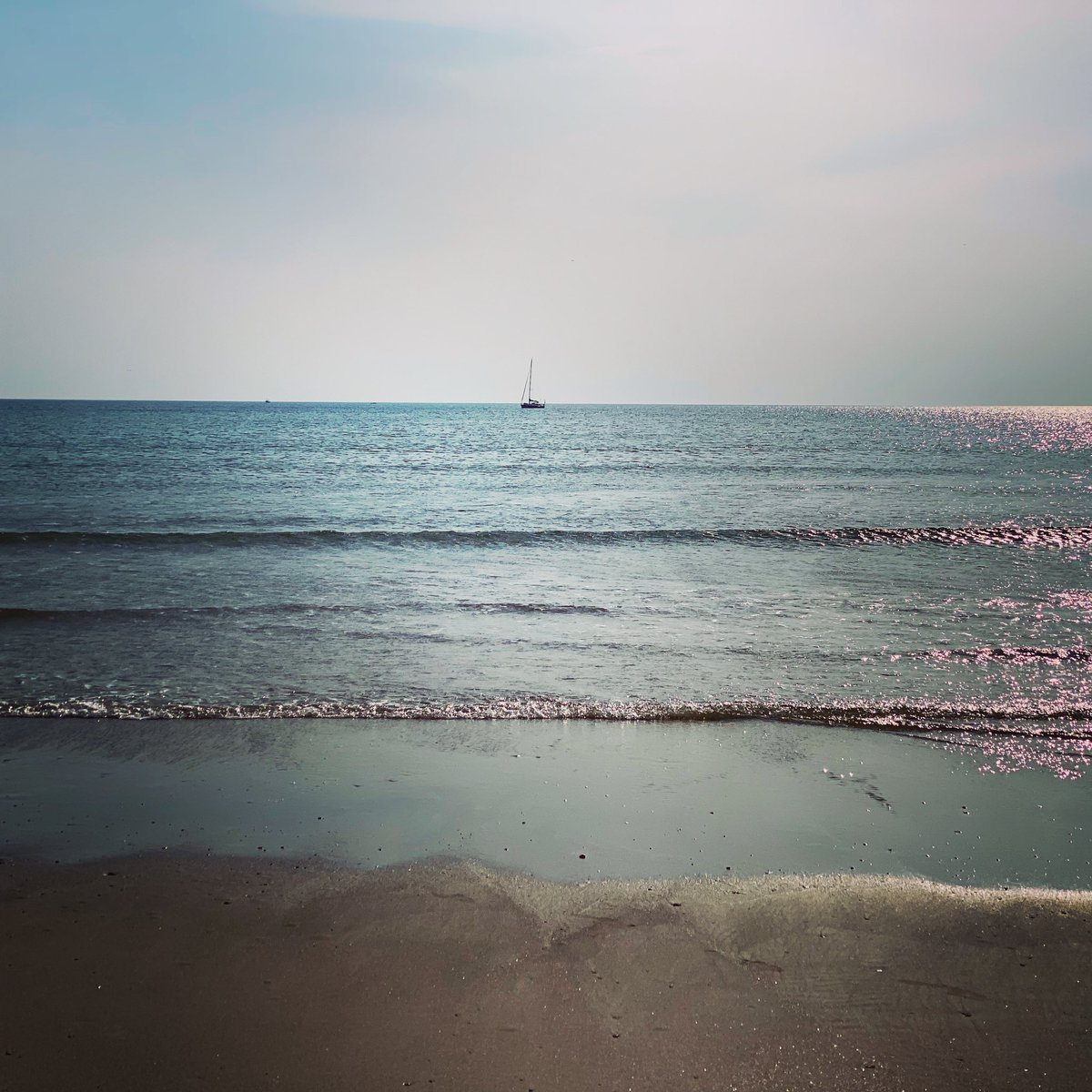 gwynfabach's tweet photo. Bliss ⛵️🏴󠁧󠁢󠁷󠁬󠁳󠁿 23.07.2021

#wales #aberdovey #aberdyfi #tywyn #sailingyacht #sailinglovers #irishsea #gwynfabach #littleparadise #snowdonia360 #snowdonianationalpark #discoversnowdonia https://t.co/BA6RUyTZXV