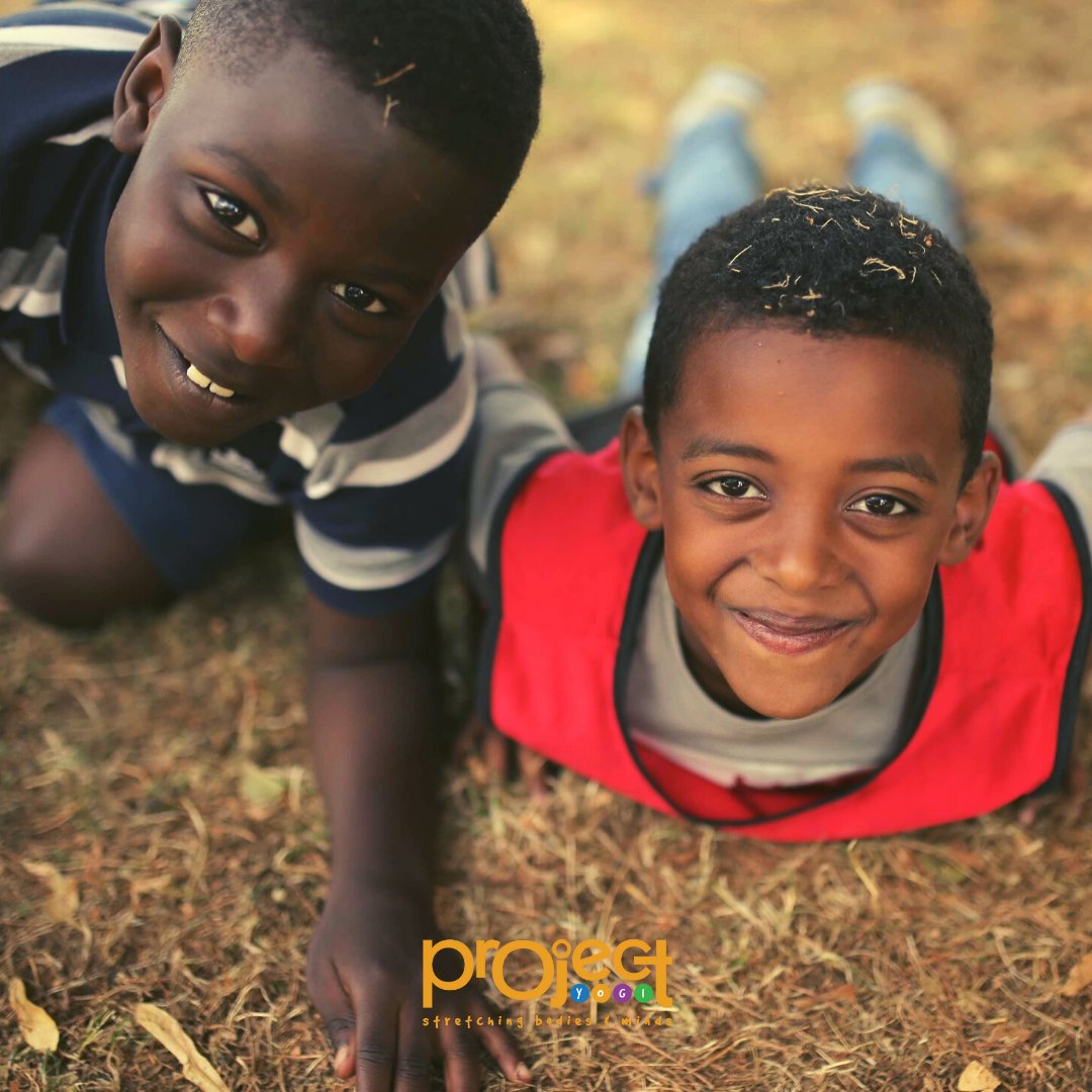 Project Yogi tweet media