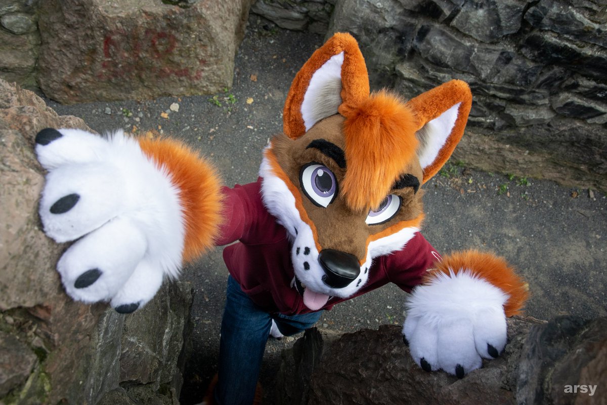 TravisTheFoxDog's tweet photo. Climbing up... 
📷 @arsy_dutchie https://t.co/Zoj4jO9iGN