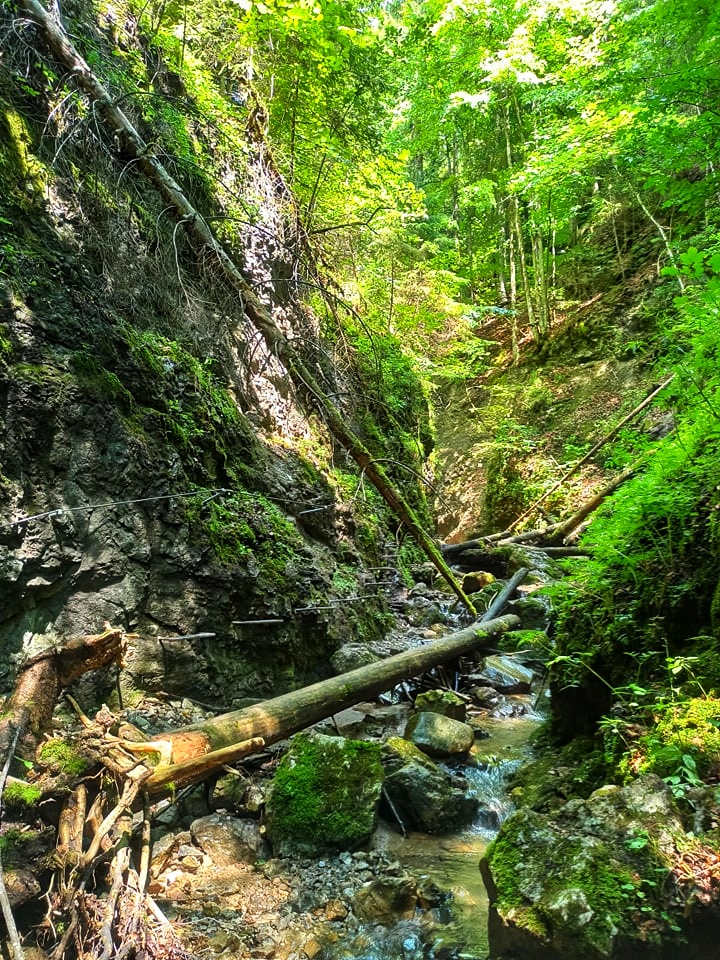 society_nomad's tweet image. Michal (@MichalVenos) was exploring Jakub Surovec educative path near #Zbojská saddle over the weekend. Any he really liked it ❤️

#Slovakia #Slovensko #thisisslovakia