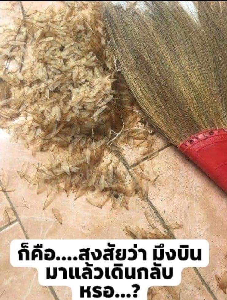 เออวะ..