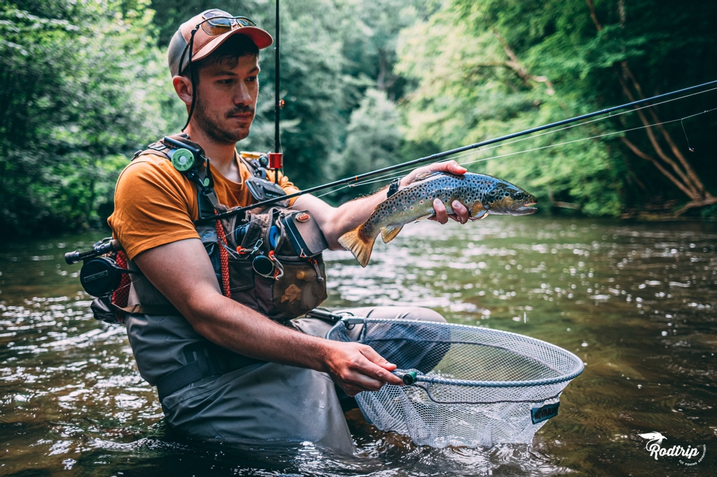rodtripfishing's tweet photo. We often talk about foreign countries, but in Belgium we also have a lot of fishing possibilities, what a pleasure!
—
#rodtrip #rodtripflyfishing #visioninflyfishing  #flyfishing #fishing #fishingadventures #flyfishingadventures #fishinglife #flylife https://t.co/kyJ2ji72HS