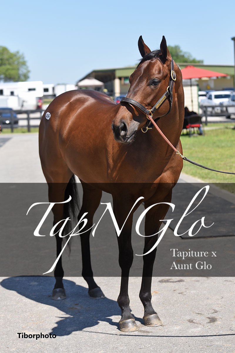 Zilla Racing Stables (@zillastable) on Twitter photo Zilla Entry Today
R1 Saratoga
2yo MSW, $100,000
TAP N GLO
Tr: <a href="/bradcoxracing/">Brad H. Cox Racing</a>
Jk: <a href="/jockeyfranco/">Manuel Franco 🏇🏽</a>
ML: 3/1 Zilla Entry Today
R1 Saratoga
2yo MSW, $100,000
TAP N GLO
Tr: <a href="/bradcoxracing/">Brad H. Cox Racing</a>
Jk: <a href="/jockeyfranco/">Manuel Franco 🏇🏽</a>
ML: 3/1